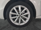 Škoda Rapid, 2019