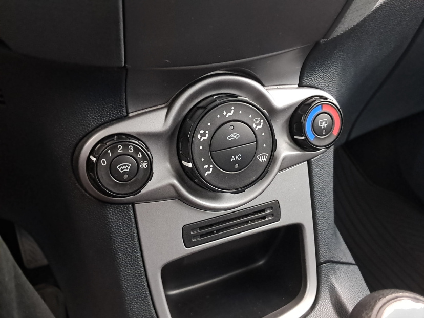 Ford Fiesta, 2010