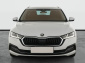 Škoda Octavia, 2021