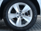 Škoda Fabia, 2019