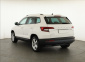 Škoda Karoq, 2020