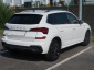 Škoda Kamiq, 2024