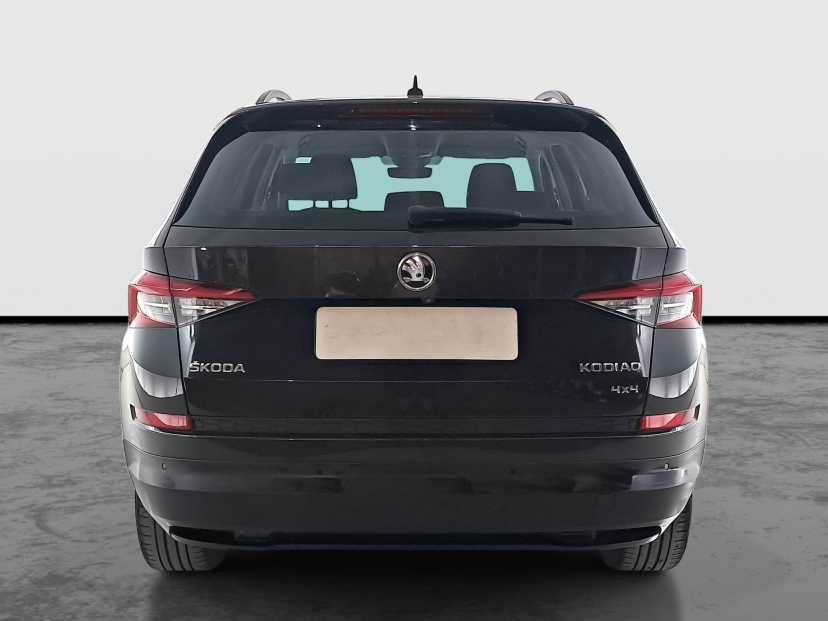 Škoda Kodiaq, 2017