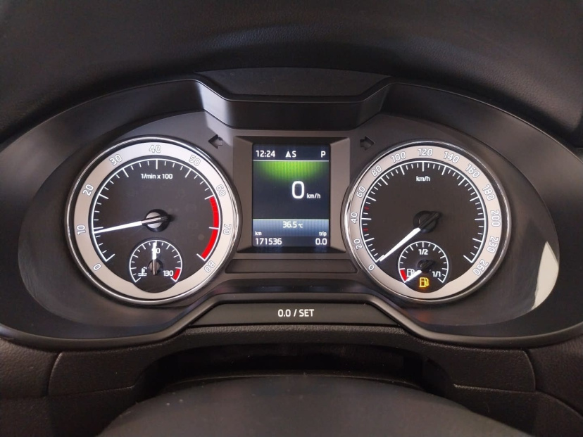 Škoda Octavia Scout, 2019