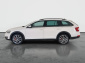 Škoda Octavia Scout, 2019