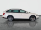 Škoda Octavia Scout, 2019
