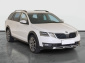 Škoda Octavia Scout, 2019