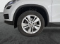 Škoda Kodiaq, 2017