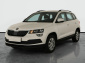Škoda Karoq, 2020