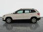 Škoda Karoq, 2020