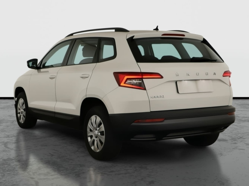 Škoda Karoq, 2020
