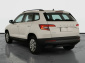 Škoda Karoq, 2020