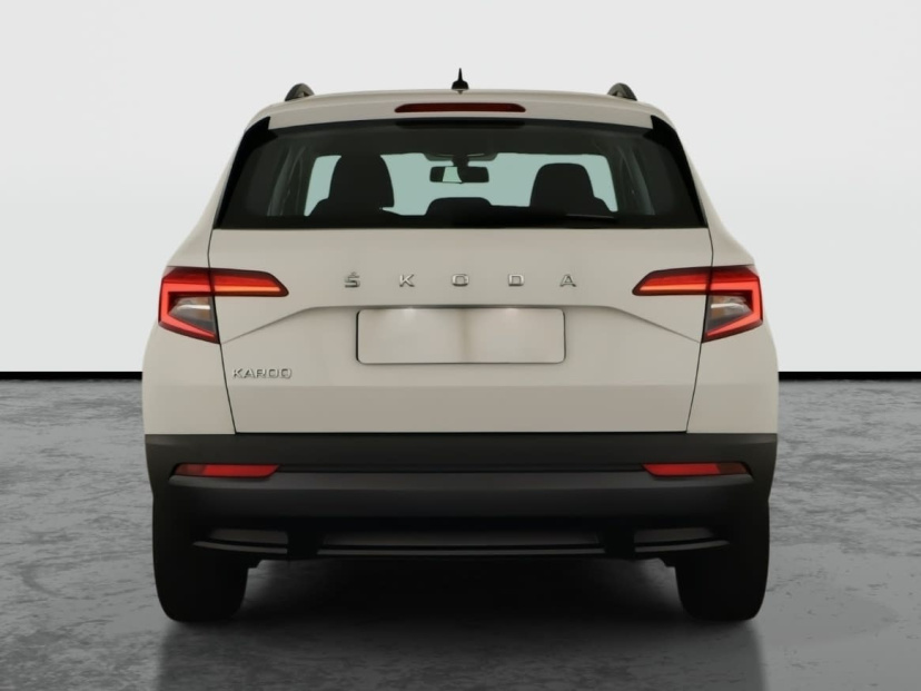 Škoda Karoq, 2020
