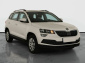 Škoda Karoq, 2020