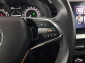Škoda Kamiq, 2021