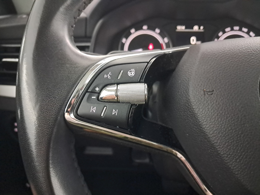 Škoda Kamiq, 2021