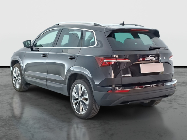 Škoda Karoq - 2023