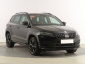 Škoda Karoq, 2020