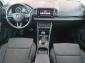 Škoda Karoq, 2019