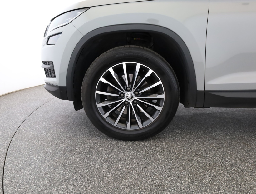 Škoda Kodiaq, 2019