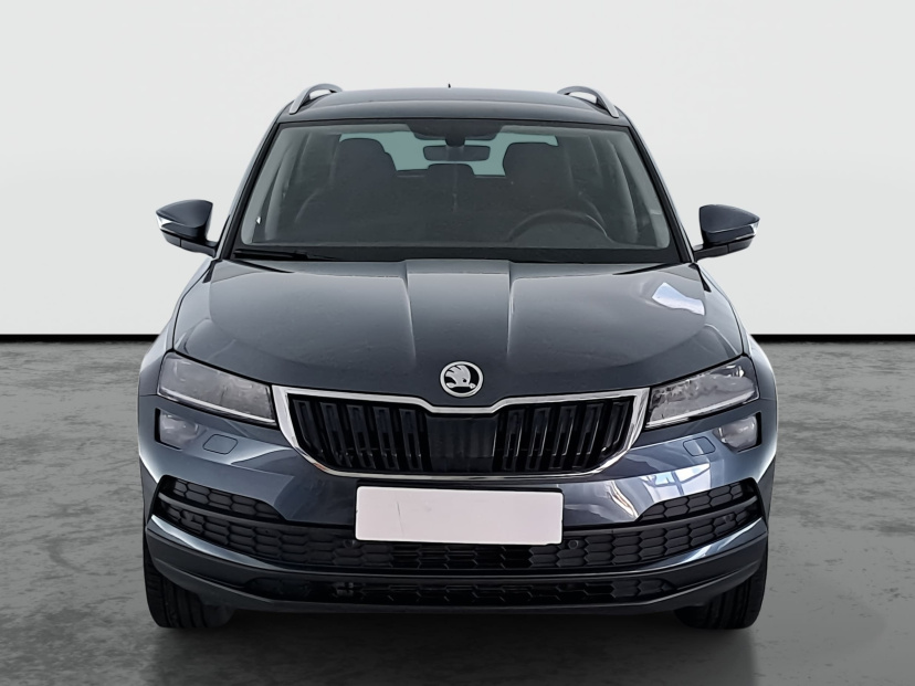 Škoda Karoq, 2019