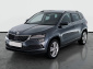 Škoda Karoq, 2019