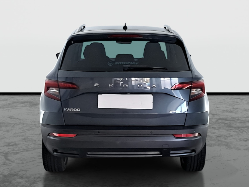 Škoda Karoq, 2019