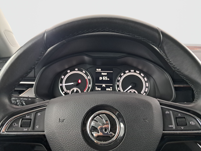 Škoda Scala, 2019