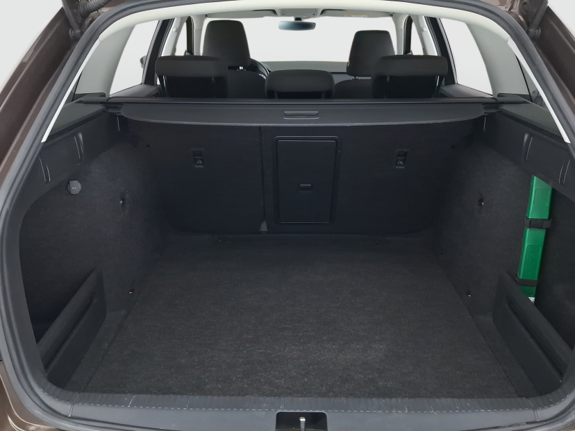 Škoda Octavia, 2020