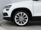 Škoda Karoq, 2019