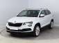 Škoda Karoq, 2019