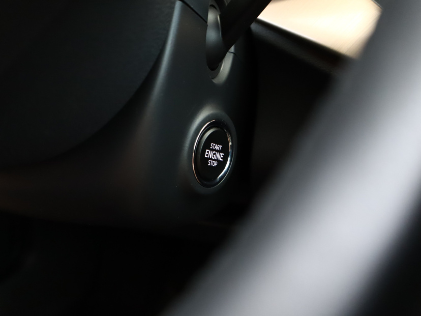 Škoda Kamiq, 2020