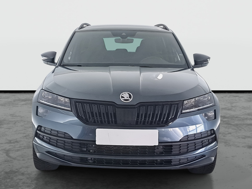 Škoda Karoq, 2019