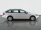 Škoda Octavia, 2019