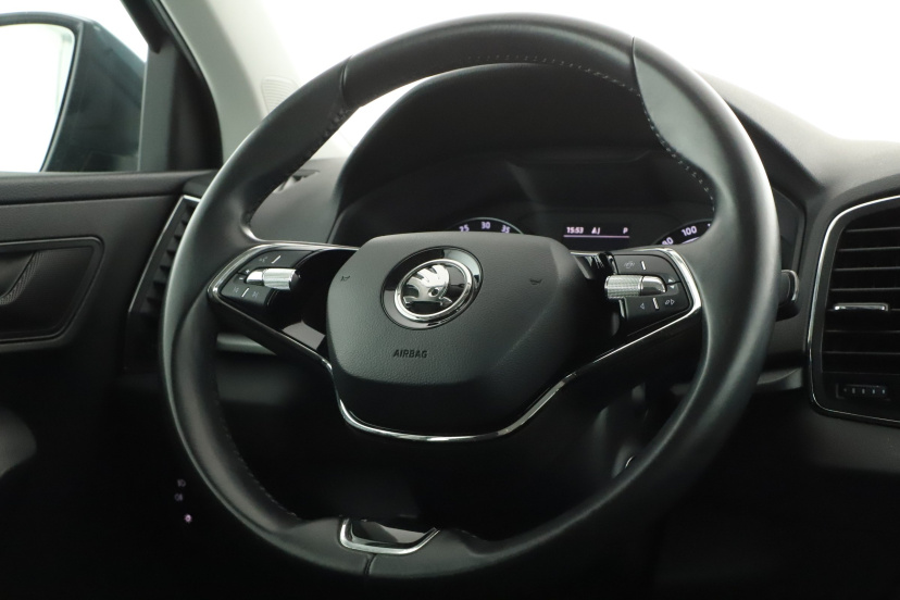 Škoda Karoq, 2020