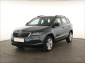 Škoda Karoq, 2020