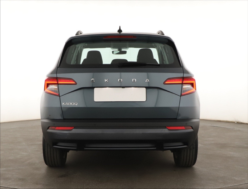 Škoda Karoq, 2020