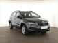 Škoda Karoq, 2020