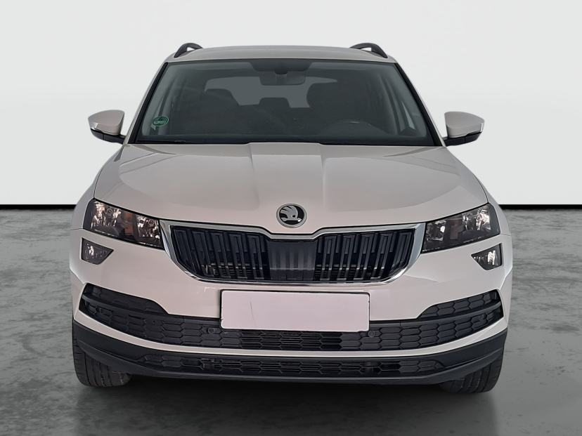 Škoda Karoq, 2019