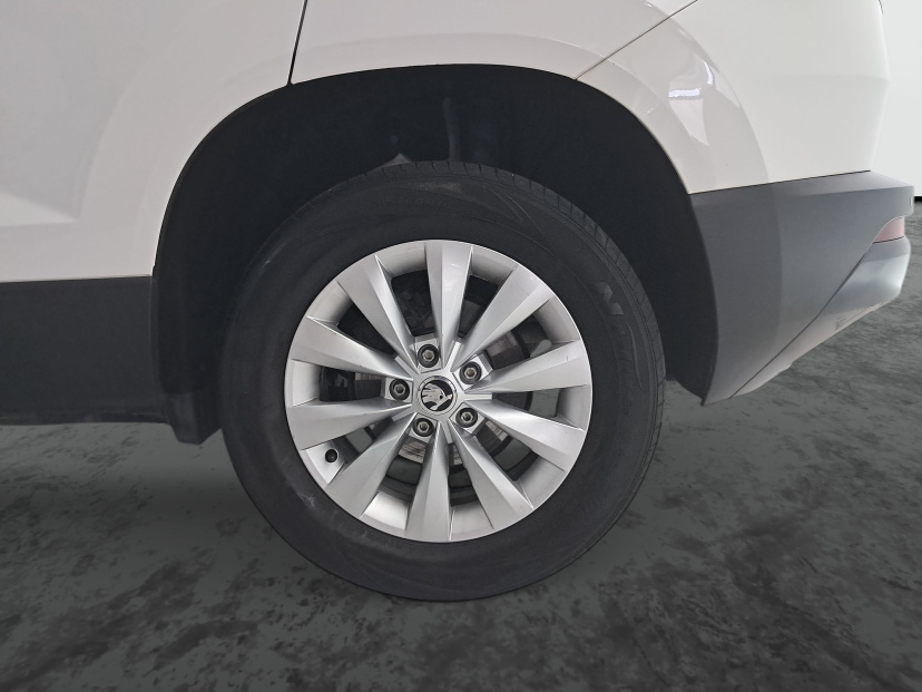 Škoda Karoq, 2019