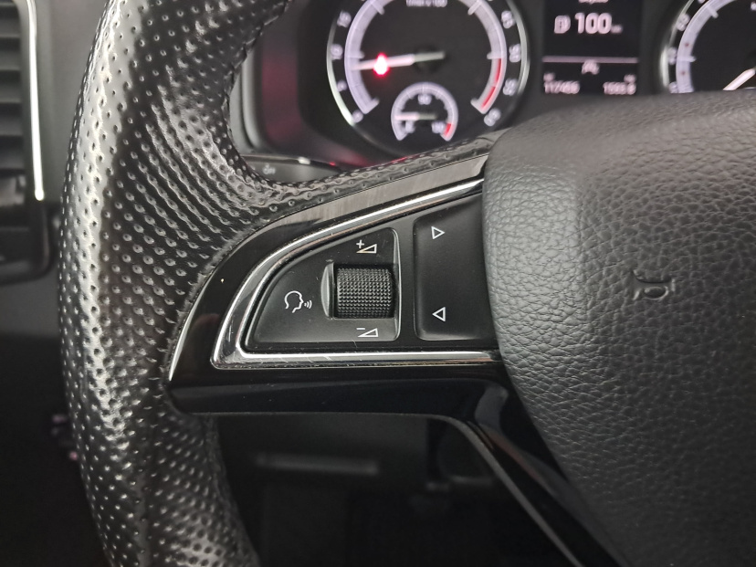 Škoda Karoq, 2019