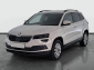 Škoda Karoq, 2019