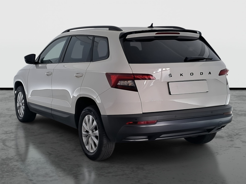 Škoda Karoq, 2019