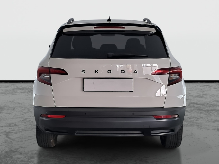 Škoda Karoq, 2019