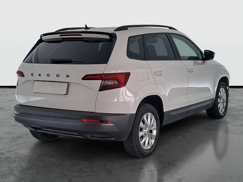 Škoda Karoq, 2019