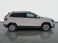Škoda Karoq, 2019