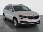 Škoda Karoq, 2019