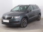 Škoda Karoq, 2020