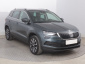 Škoda Karoq, 2020