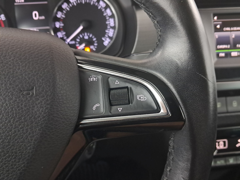 Škoda Fabia, 2017